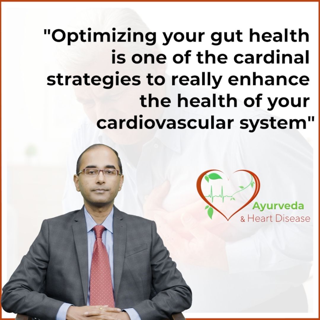 Ayurveda and Heart Disease Educational Videos The Ayurveda Experience