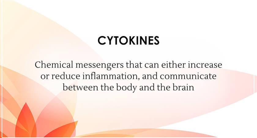 Ayurveda- Chronic Stress, Anxiety and Depression - DVD Set Experience Ayurveda