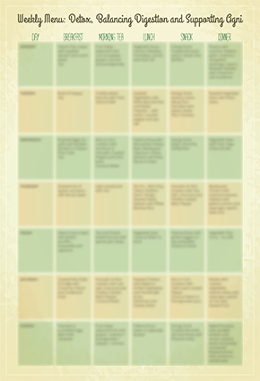 Ayurvedic Detox- DVD Set Experience Ayurveda