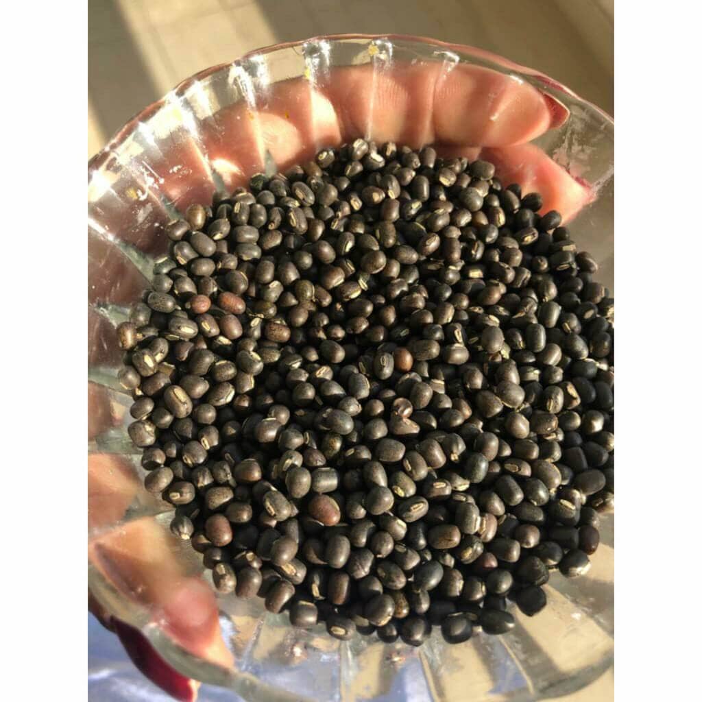 Balaayah Black-Gram Body-Booster Body Oil iYURA