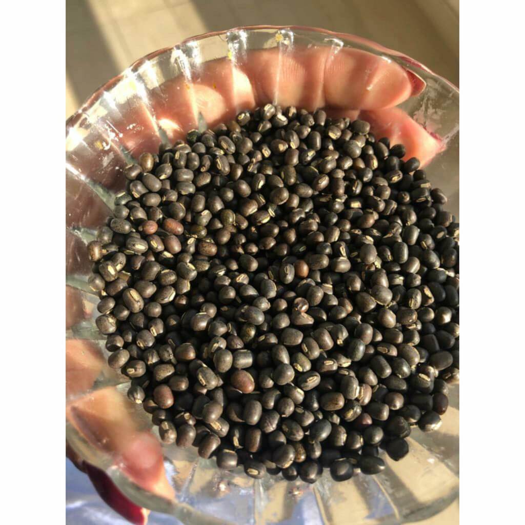 Balaayah Black Gram Body Booster: Firming Body Oil for Dry, Aging Skin Body Oil iYURA