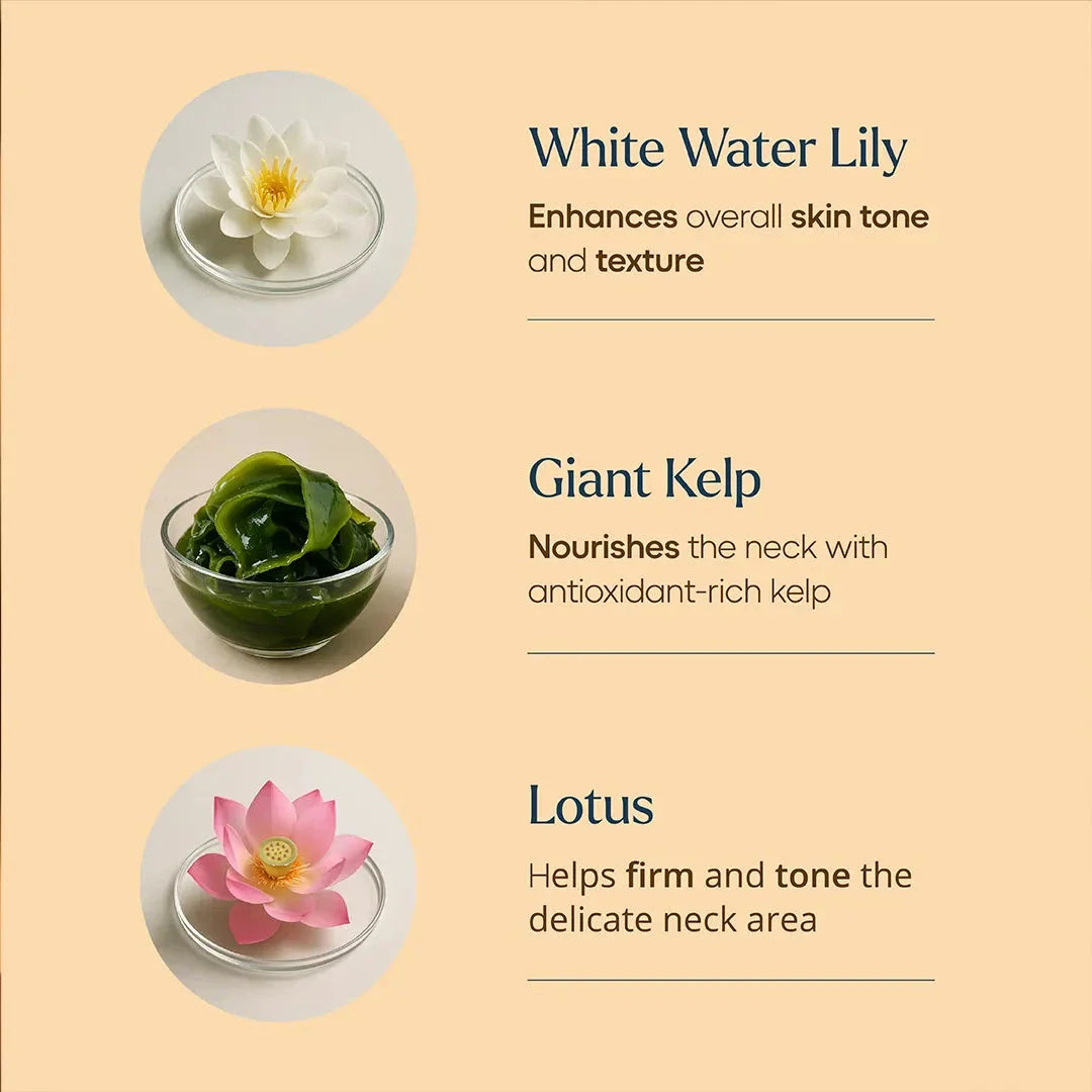 Firm-Focus Neck Mask - Lifts, Firms, Smooths the look of Loose, Saggy Skin on the Neck, Jaw, Chin & Upper Chest - Focused Neck Firming Action with Phyto-Ceramides and Water Lily - Best Firming Neck Mask Neck Mask A Modernica Naturalis