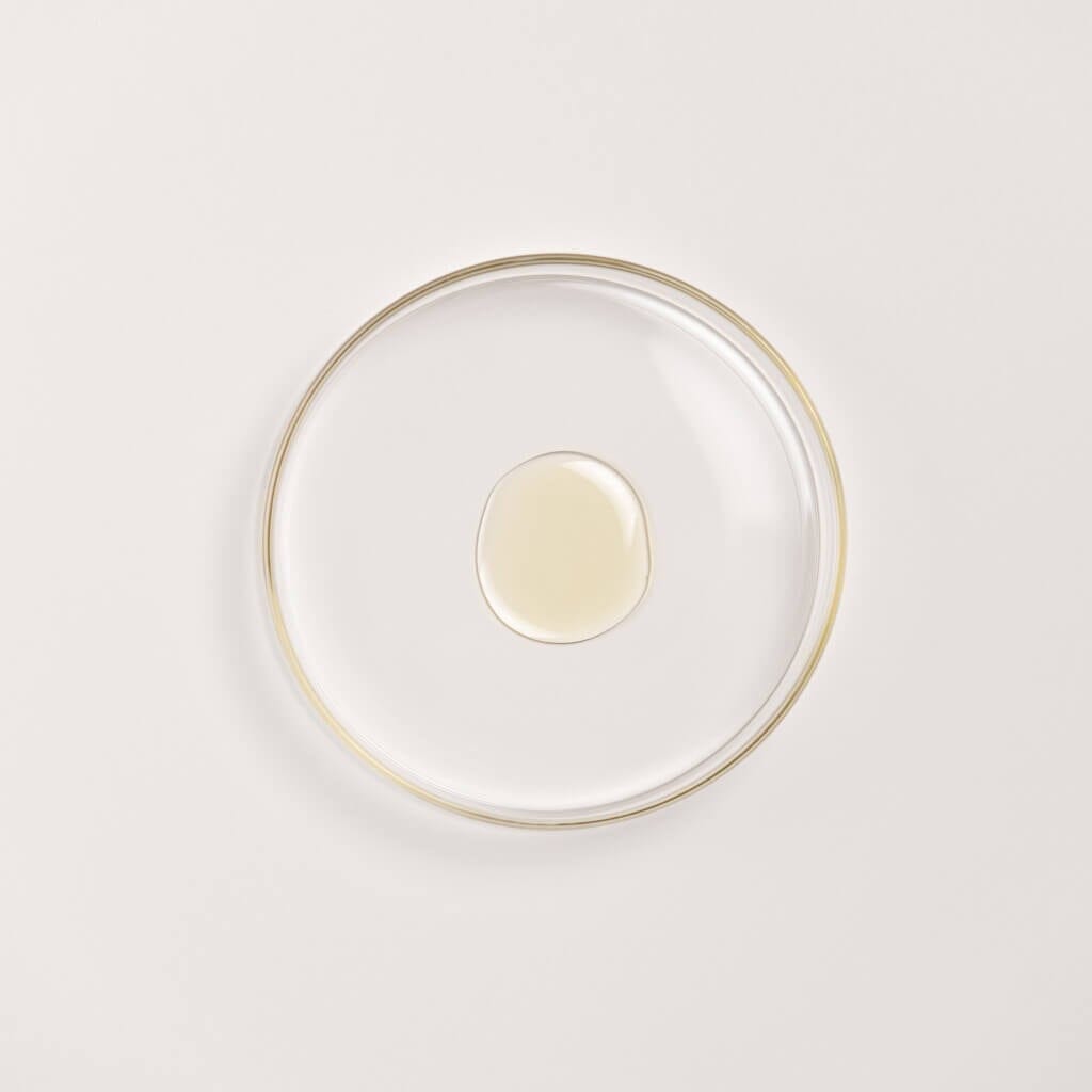 The Ayurveda Experience Black Gram Edit; Face and Body Trio with the Power of Black Gram Skin Care The Ayurveda Experience