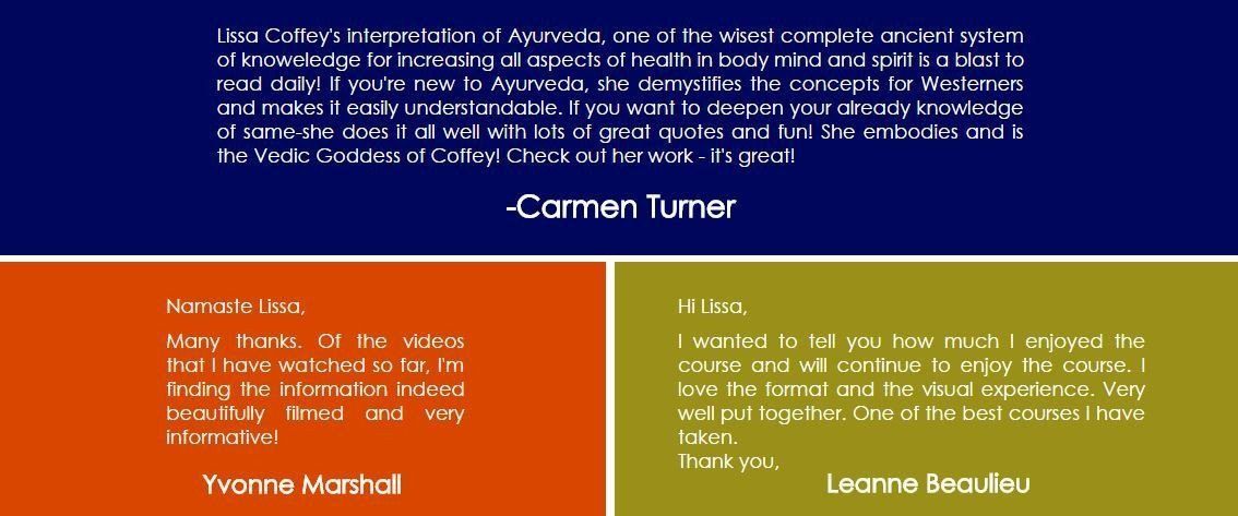 The Ayurveda Experience - Silver Educational Course Experience Ayurveda