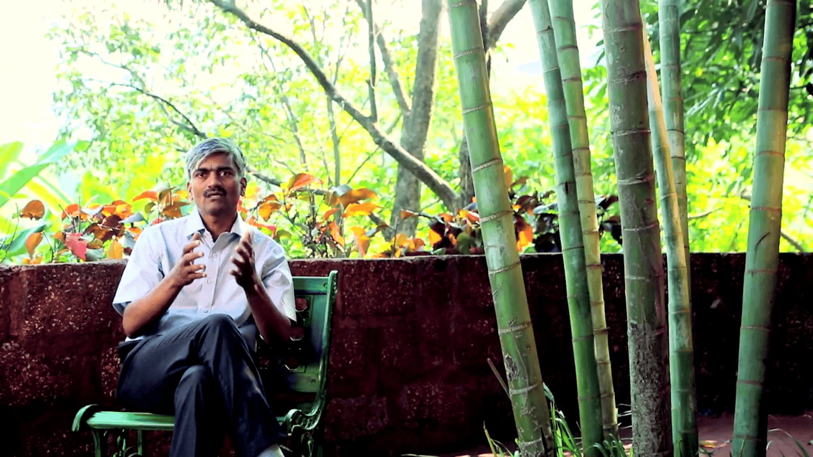 The Ayurvedic Secrets of Digestion - Silver Experience Ayurveda