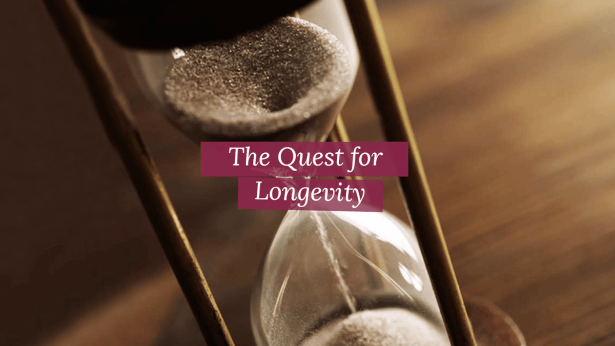 Ayurveda &amp; Anti-Aging - DVD Set Experience Ayurveda 