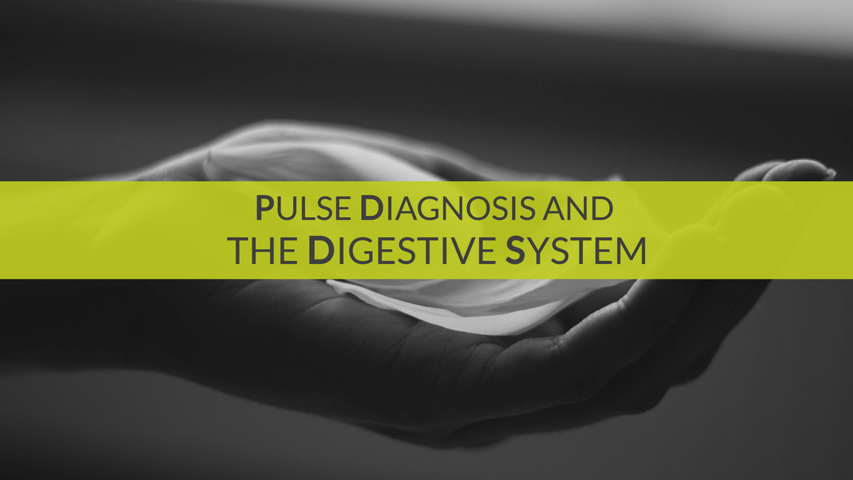 Ayurveda &amp; Pulse Reading Educational Course The Ayurveda Experience 