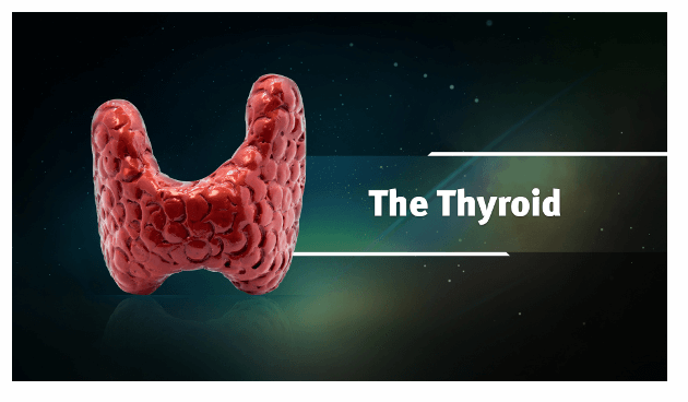 Ayurveda &amp; Thyroid Health Platinum Educational Course Experience Ayurveda 