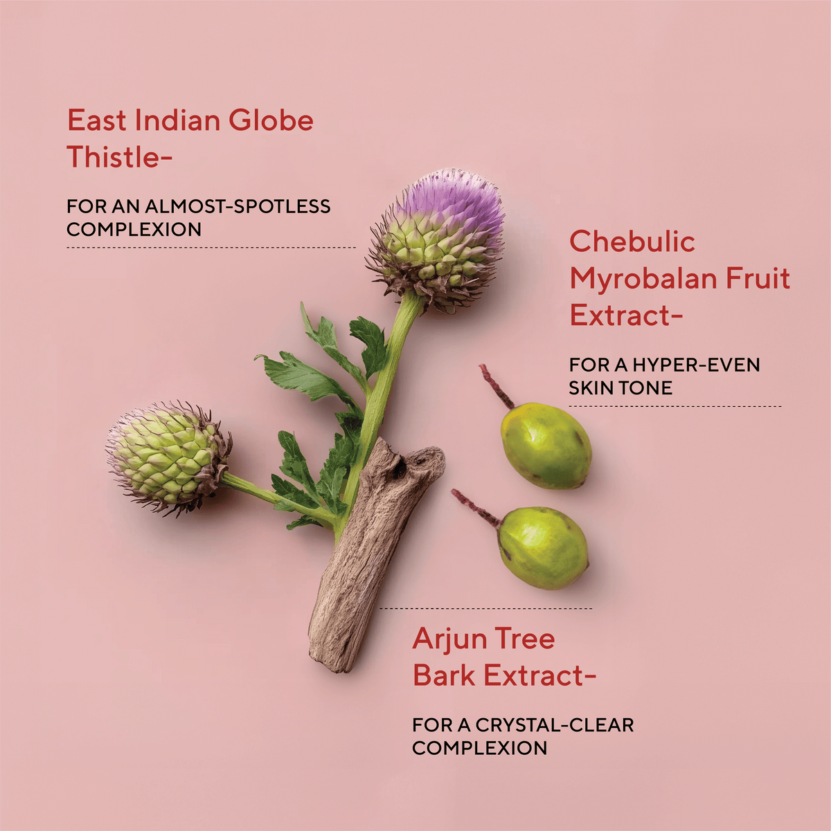 Dim N Dazzle Dark Spot Patch – Even-Tones and Brightens the look of Dark spots, Dry, Patchy Skin - Powered with East Indian Globe Thistle &amp; Arjun Tree Bark– Best Dark Spot Patch for Crystal-Clear Complexion The Ayurveda Experience 