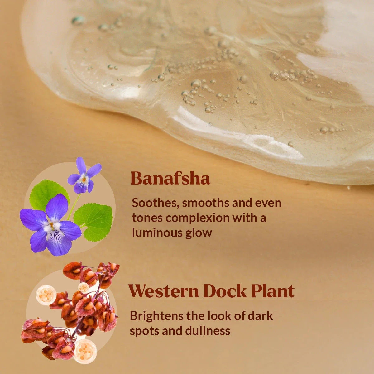 Dim N Dazzle Gel-to-Milk Skin Polish Face Serum – Even-tones and Plumps for Glassy, Polished looking skin – Enriched with Banafsha and Western Dock Plant – Best Double Serum for Polished, Plumped, Glassy-Smooth Skin Serum A Modernica Naturalis 