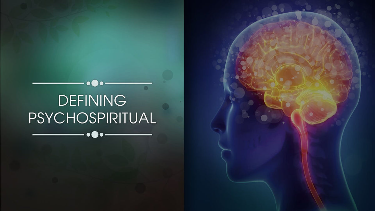 Emotions &amp; Digestive Disorders Platinum Educational Course Experience Ayurveda 