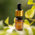 iYURA Prinourish Skin-Enriching Superfood Serum - To Smooth the Appearance of Crisscross Lines & Flaunt a Polished, Glossy Glow - 5 ml (0.17 fl oz) Face oil iYURA 